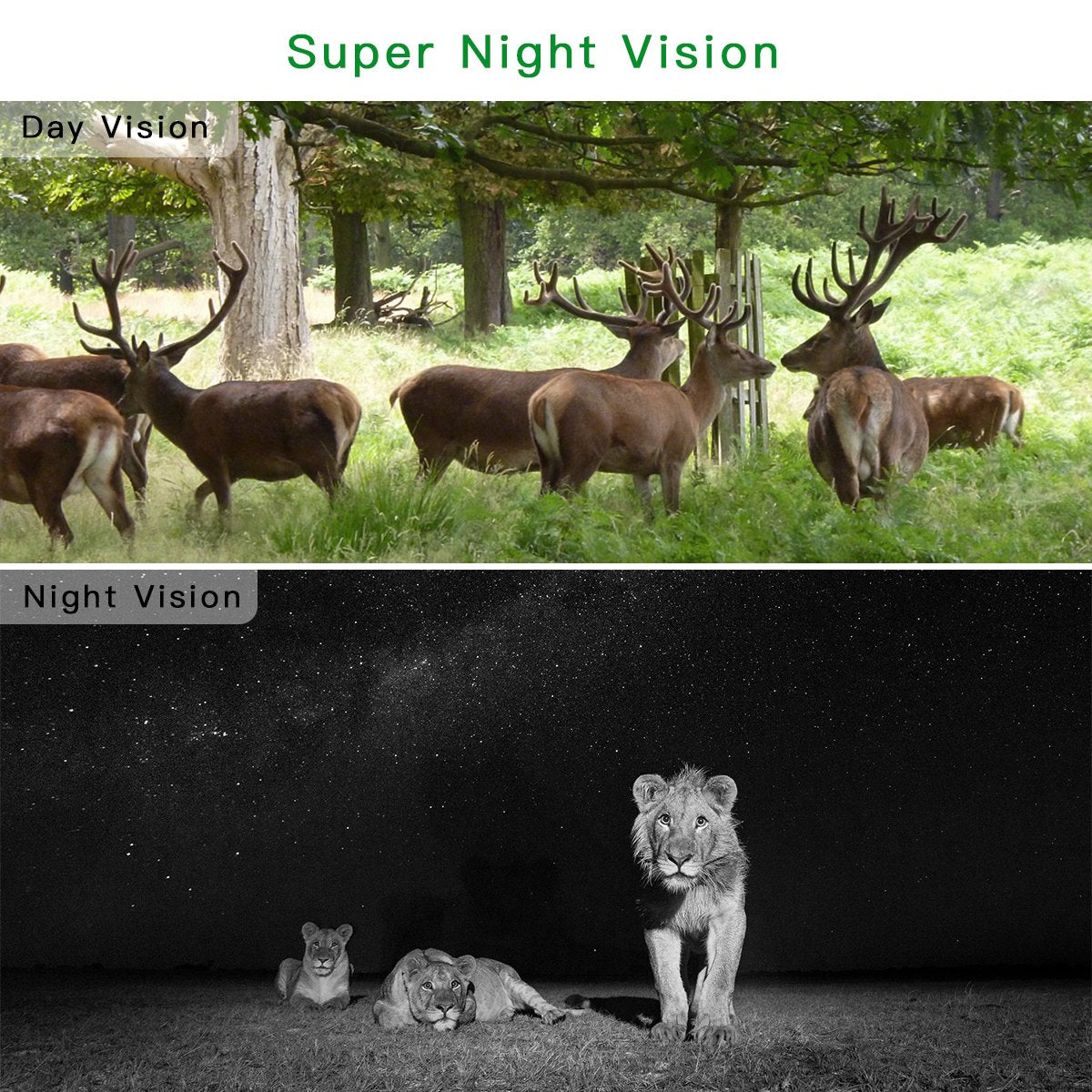 Campark T45A-GREEN Trail Camera 16MP 1080P Night Vision Waterproof Hunting Cam for Wildlife Monitoring