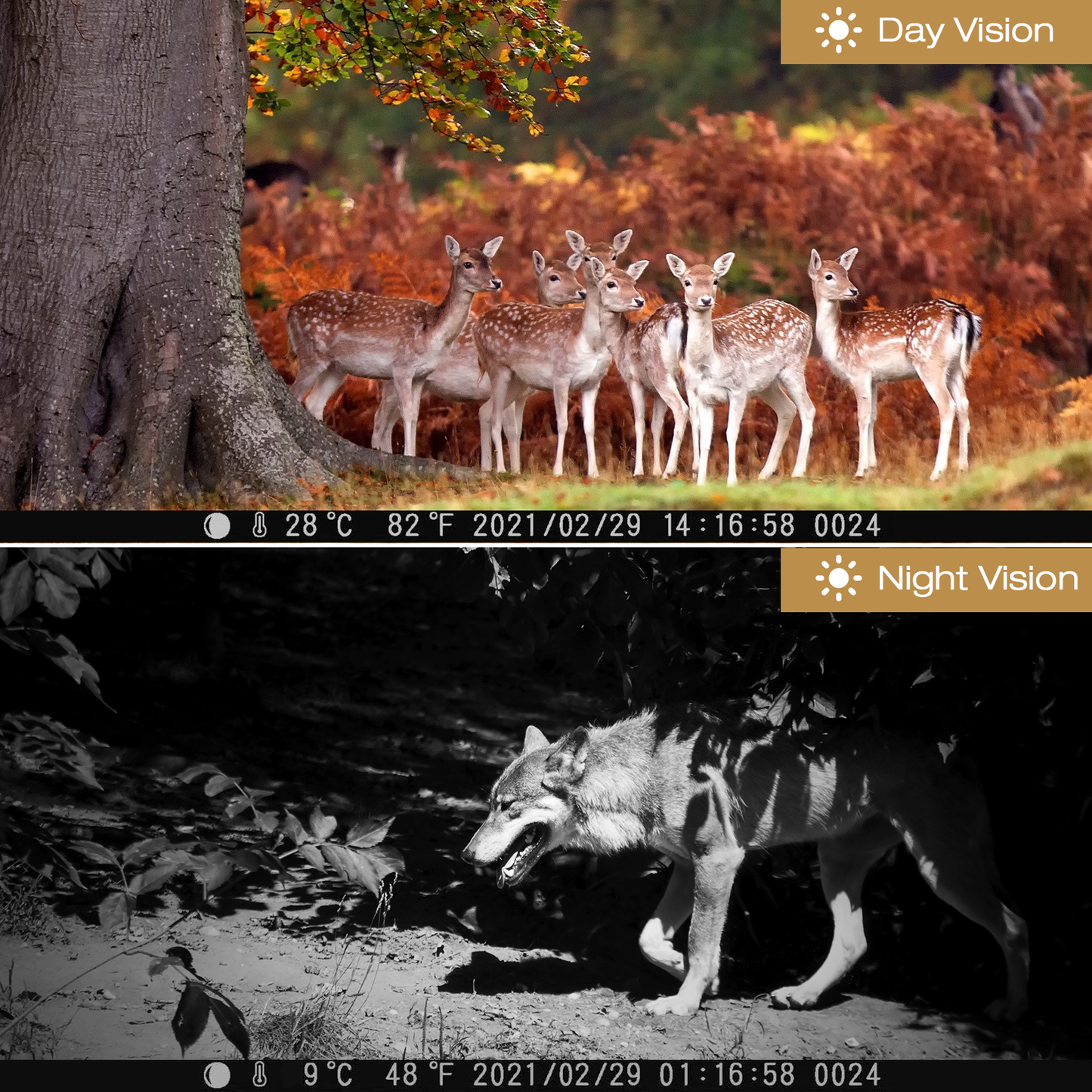 TOGUARD 2 Pack Trail Camera 4K Hunting Game Camera 120° Wildlife Monitoring Cam 20MP Night Vision TFT